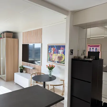 Appartement Koselig Og Sentrumsnaer